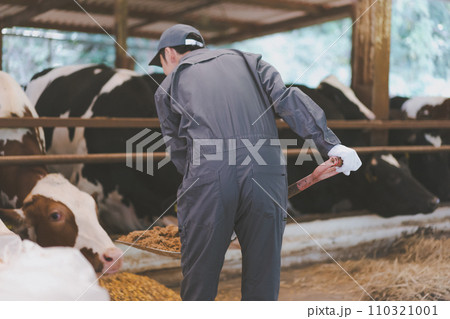 ranch ranch 110321001