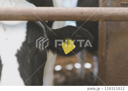 ranch 110321012