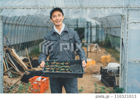 vegetable field 110321013