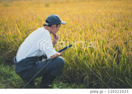 rice farming 110321025