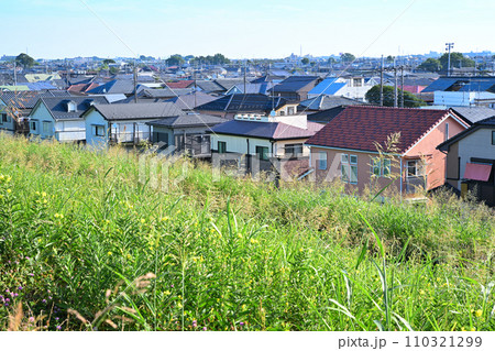 荒川土手から住宅の眺め 夏の田園風景 さいたま市 荒川土手から住宅の眺め 夏の田園風景 さいたま市 110321299