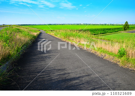 夏の田園風景　荒川土手からの眺め　東京方面　さいたま市　 110321689