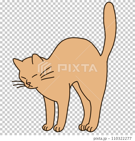 伸びをする猫のイラスト　 110322277