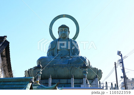 高岡大仏 高岡大仏 110322359