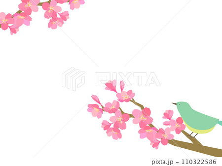 桜とうぐいすのシンプルな背景素材 桜とうぐいすのシンプルな背景素材 110322586