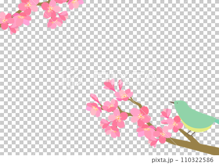 桜とうぐいすのシンプルな背景素材 桜とうぐいすのシンプルな背景素材 110322586