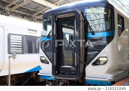 東京駅に停車中の特急電車 110322840