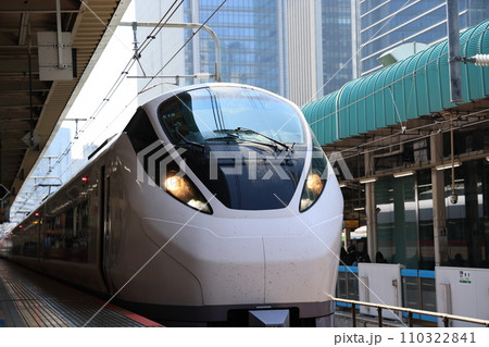 東京駅に停車中の特急電車 110322841
