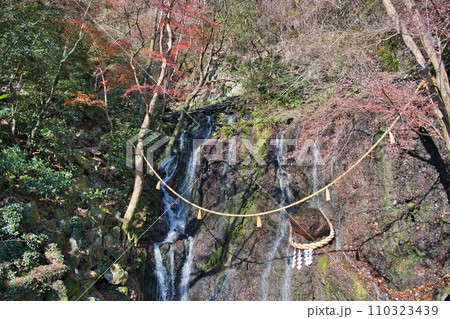 箱根の玉簾の滝 箱根の玉簾の滝 110323439
