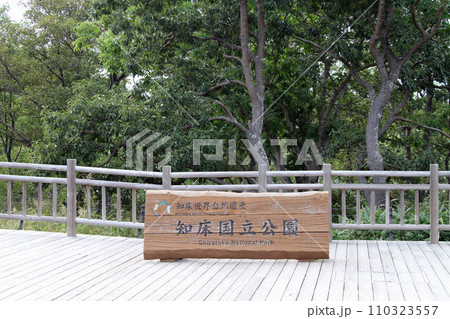 知床五湖　高架木道　知床連山　原生林　展望台 110323557