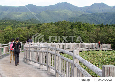 知床五湖 高架木道 知床連山 原生林 展望台 知床五湖 高架木道 知床連山 原生林 展望台 110323558