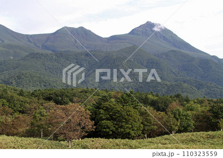 知床五湖　高架木道　知床連山　原生林　展望台 110323559