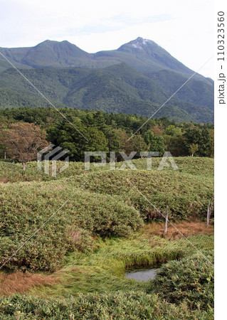 知床五湖　高架木道　知床連山　原生林　展望台 110323560
