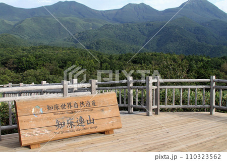 知床五湖　高架木道　知床連山　原生林　展望台 110323562