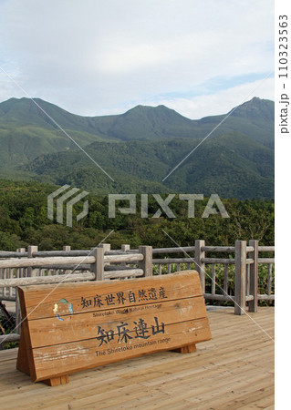 知床五湖 高架木道 知床連山 原生林 展望台 知床五湖 高架木道 知床連山 原生林 展望台 110323563