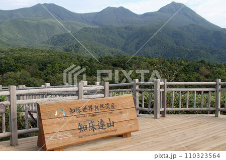 知床五湖　高架木道　知床連山　原生林　展望台 110323564