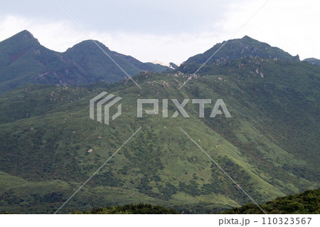 知床五湖　高架木道　知床連山　原生林　展望台 110323567
