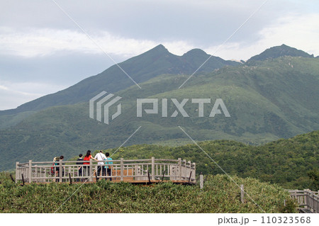 知床五湖　高架木道　知床連山　原生林　展望台 110323568