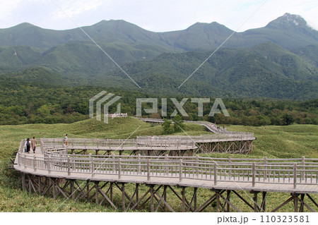 知床五湖　高架木道　知床連山　原生林　展望台 110323581