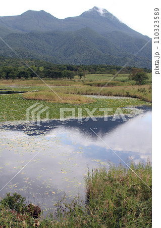 知床五湖　高架木道　知床連山　原生林　展望台 110323589