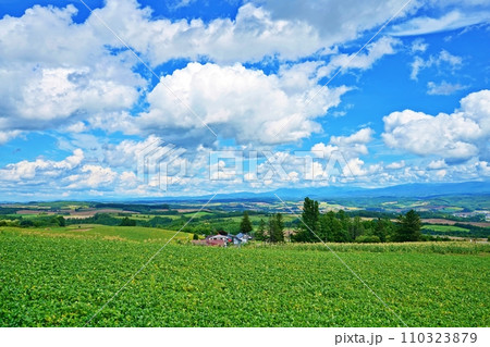 北海道 かみふらの八景　千望峠から望む十勝岳連峰と富良野盆地の大パノラマ 110323879