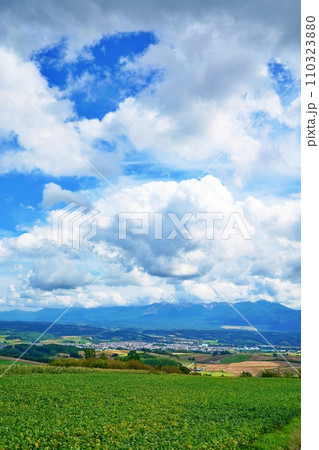 北海道 かみふらの八景 千望峠から望む十勝岳連峰と富良野盆地の大パノラマ 北海道 かみふらの八景 千望峠から望む十勝岳連峰と富良野盆地の大パノラマ 110323880