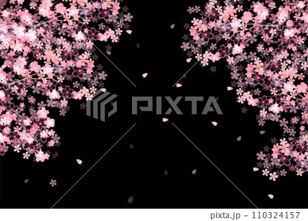 桜　春　花びら　背景 110324157