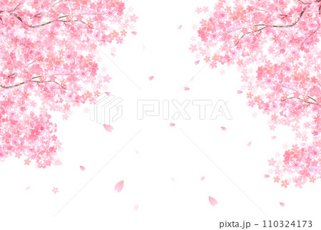 桜 春 花びら 背景 桜 春 花びら 背景 110324173