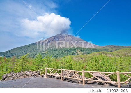 【有村溶岩展望所 (遊歩道より噴煙を上げる桜島)】 鹿児島県鹿児島市有村町 110324208
