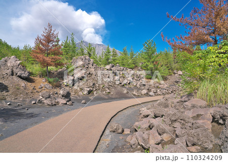 【有村溶岩展望所 (遊歩道)】 鹿児島県鹿児島市有村町 【有村溶岩展望所 (遊歩道)】 鹿児島県鹿児島市有村町 110324209