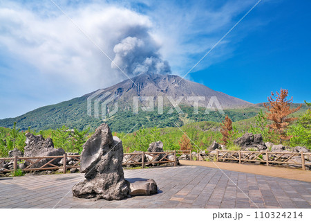 【有村溶岩展望所 (遊歩道より噴煙を上げる桜島)】 鹿児島県鹿児島市有村町 110324214
