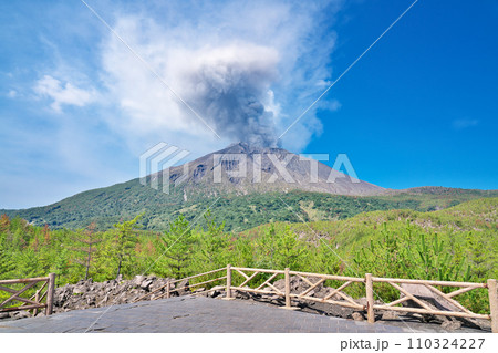 【有村溶岩展望所 (遊歩道より噴煙を上げる桜島)】 鹿児島県鹿児島市有村町 110324227