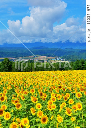北海道富良野市 麓郷展望台からの風景 北海道富良野市 麓郷展望台からの風景 110324975