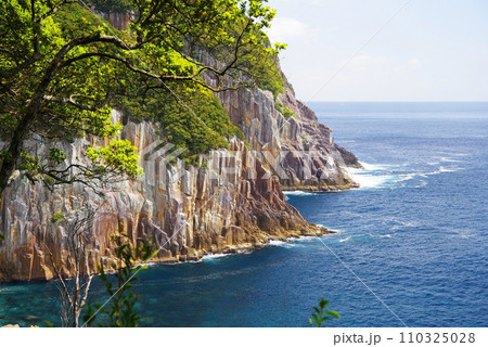 《海金剛》三重県・熊野市 《海金剛》三重県・熊野市 110325028