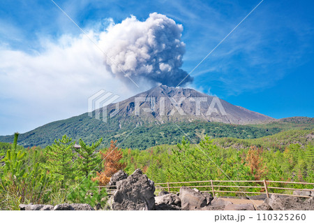 【有村溶岩展望所より噴煙を上げる桜島)】 鹿児島県鹿児島市有村町 110325260