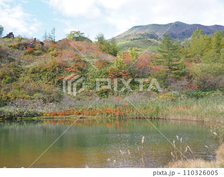 秋の武具脱の池 110326005