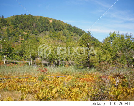 秋の武具脱の池 秋の武具脱の池 110326041