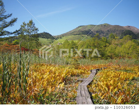 秋の武具脱の池 110326053