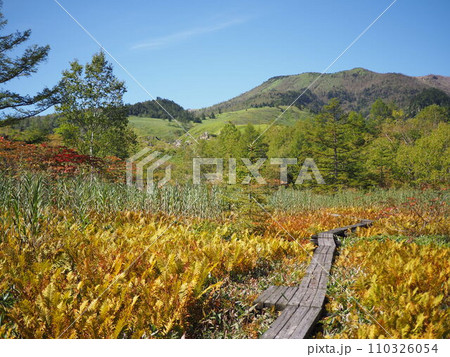 秋の武具脱の池 110326054