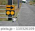 矢印と猫（香川県仲多度郡多度津町佐柳島） 110326109