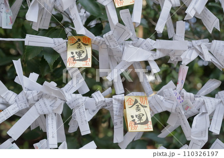 金運のおみくじ（猿投神社　愛知県 豊田市） 110326197