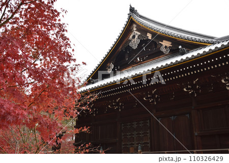 仁和寺　観音堂　秋 110326429