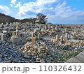 長崎の両墓制（香川県仲多度郡多度津町佐柳島） 110326432