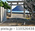 佐柳八幡神社でくつろぐ猫（香川県仲多度郡多度津町佐柳島） 110326438