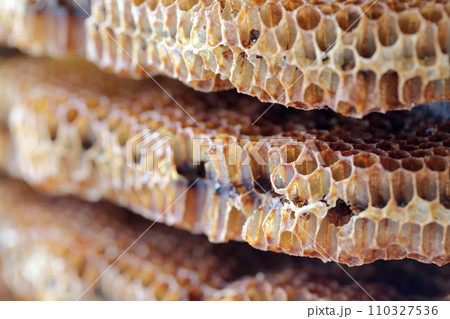 ミツバチの巣のアップ ミツバチの巣のアップ 110327536