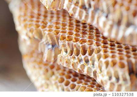 ミツバチの巣のアップ ミツバチの巣のアップ 110327538