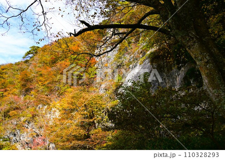遠野遺産第31号 不動巌と巌龍神社 110328293