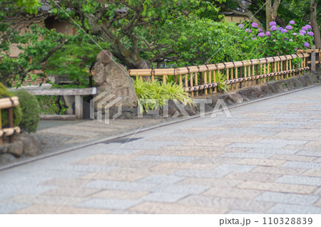 梅雨時期しっとりした京都祇園に似合う紫陽花を撮影 110328839