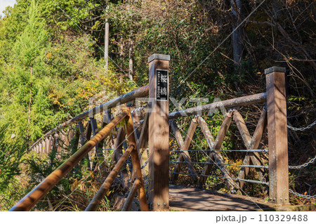 静岡県／桜橋【長島公園・八橋（やっぱし）小道ラブ・ロマンス・ロード】 110329488