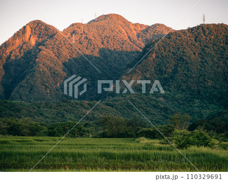 景色 風景 自然 110329691